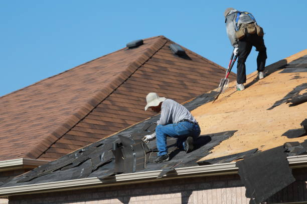 Best Roof Restoration  in Muenster, TX