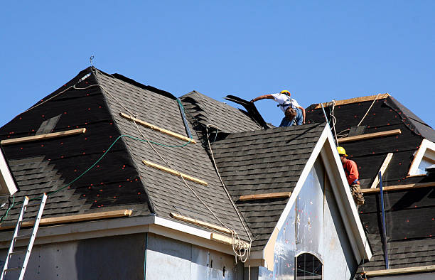 Best Roof Moss and Algae Removal  in Muenster, TX