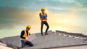 Best Roof Moss and Algae Removal  in Muenster, TX